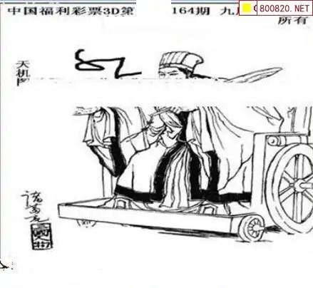 25164期: 三毛3D精品图谜