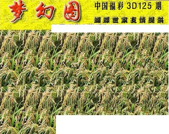 25125��: 3D�������Һ�����ͼ