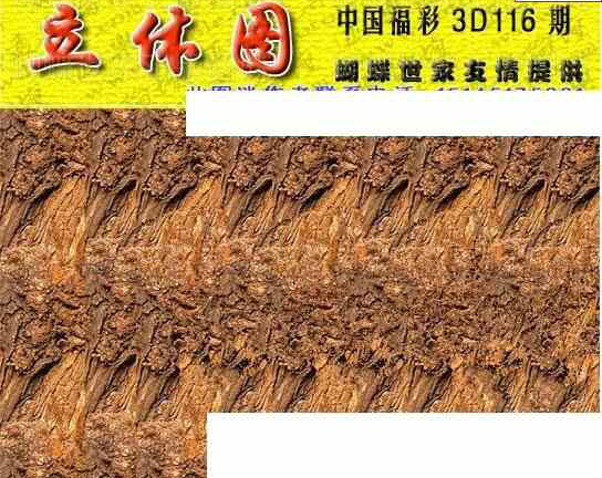 24116期: 3D蝴蝶世家蝴蝶彩图