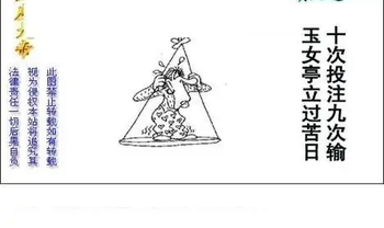 25342期: 白老3D杀码图版