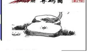 26055��: ��ë3D��Ʒͼ��