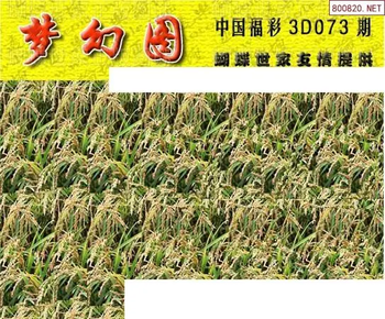 26073期: 3D蝴蝶世家蝴蝶彩图