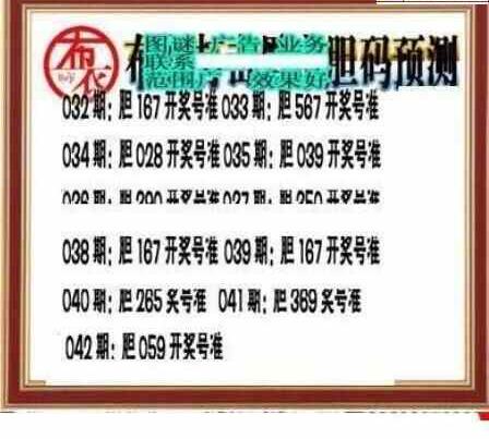 25042期: 三毛3D精品图谜