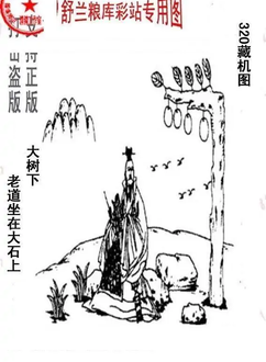 25320期: 老村长福彩3D天天图谜