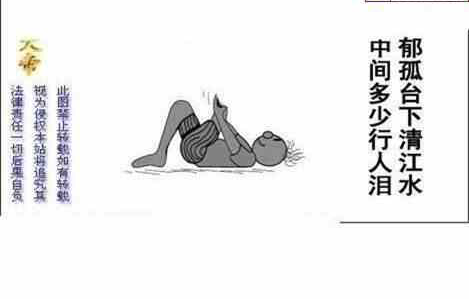 24114期: 白老3D杀码图版