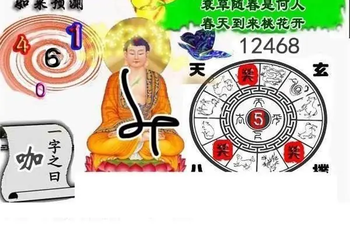 26063期: 白老3D杀码图版