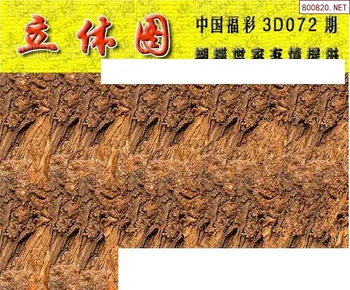 26072期: 3D蝴蝶世家蝴蝶彩图