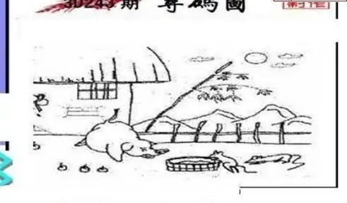 25243期: 三毛3D精品图谜