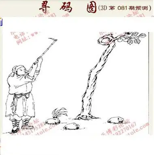 九宝图26081期福彩3D寻码图