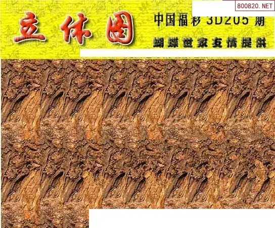 25205��: 3D�������Һ�����ͼ