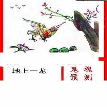 25029期: 白老3D杀码图版