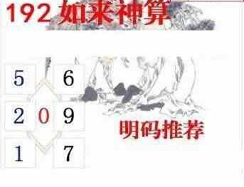 24192期: 白老3D杀码图版