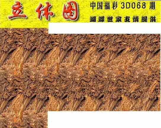 24068期: 3D蝴蝶世家蝴蝶彩图