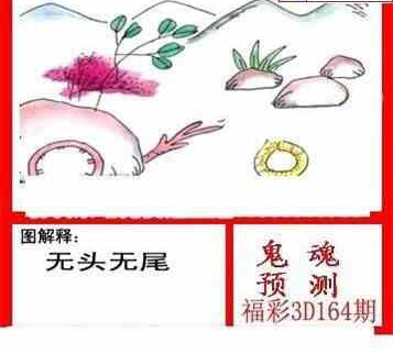 24164期: 白老3D杀码图版