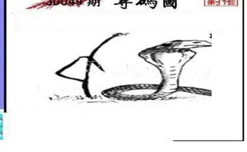 26049期: 三毛3D精品图谜