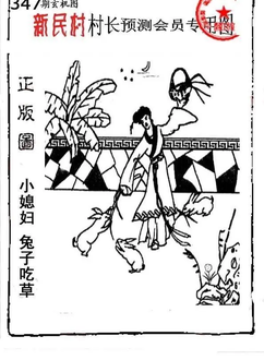 25347期: 老村长福彩3D天天图谜