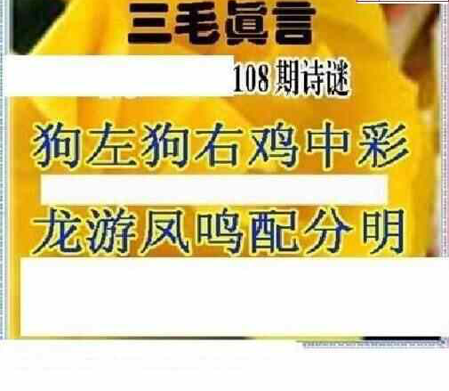 24108期: 三毛3D精品图谜