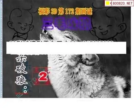 25172期: 三毛3D精品图谜