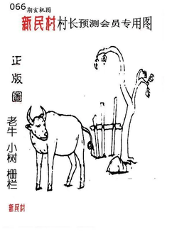 26066期: 老村长福彩3D天天图谜