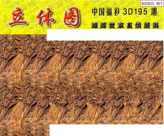 25195期: 3D蝴蝶世家蝴蝶彩图