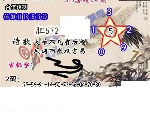 25298期: 白老3D杀码图版