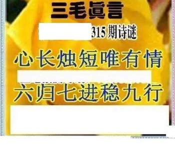 25315期: 三毛3D精品图谜