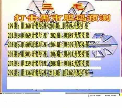 24210��: ��ë3D��Ʒͼ��