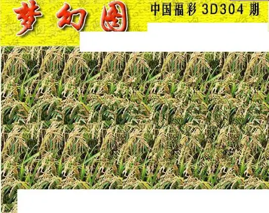 25304期: 3D蝴蝶世家蝴蝶彩图