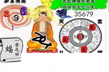 25329期: 白老3D杀码图版