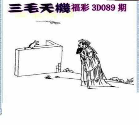24089期: 三毛3D精品图谜