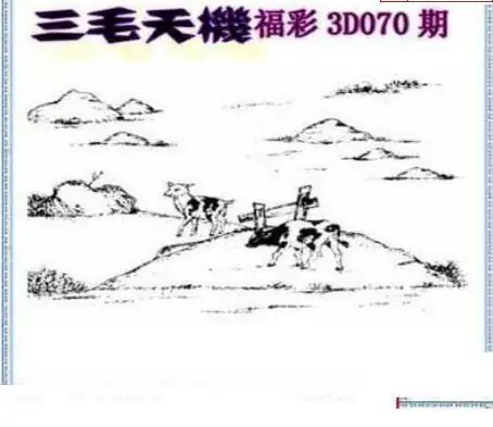 25070期: 三毛3D精品图谜