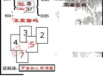 九宝图26097期福彩3D寻码图