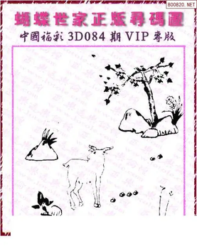 26084期: 3D蝴蝶世家蝴蝶彩图