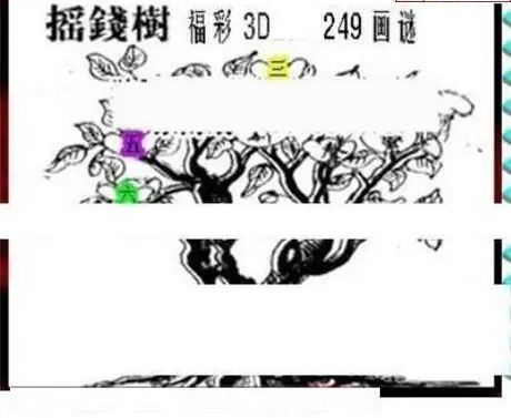 25249期: 三毛3D精品图谜