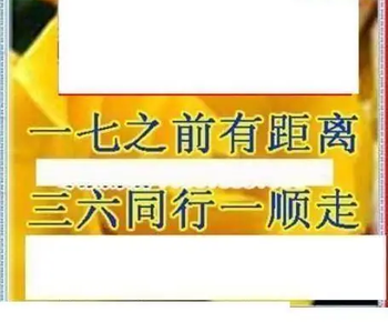 26014期: 三毛3D精品图谜