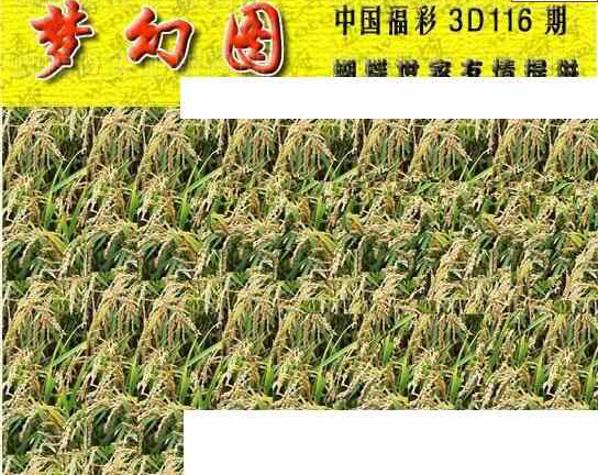 24116期: 3D蝴蝶世家蝴蝶彩图