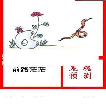 24326期: 白老3D杀码图版