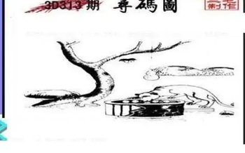 25313期: 三毛3D精品图谜