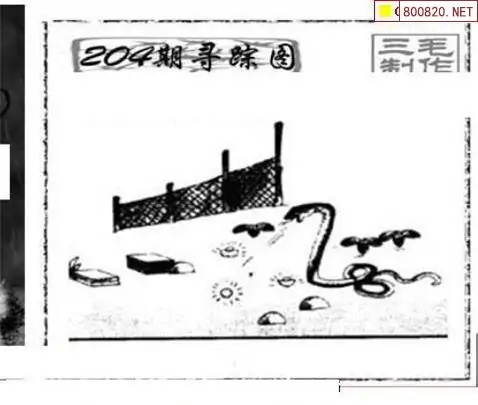 25204期: 三毛3D精品图谜