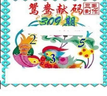 25309期: 三毛3D精品图谜