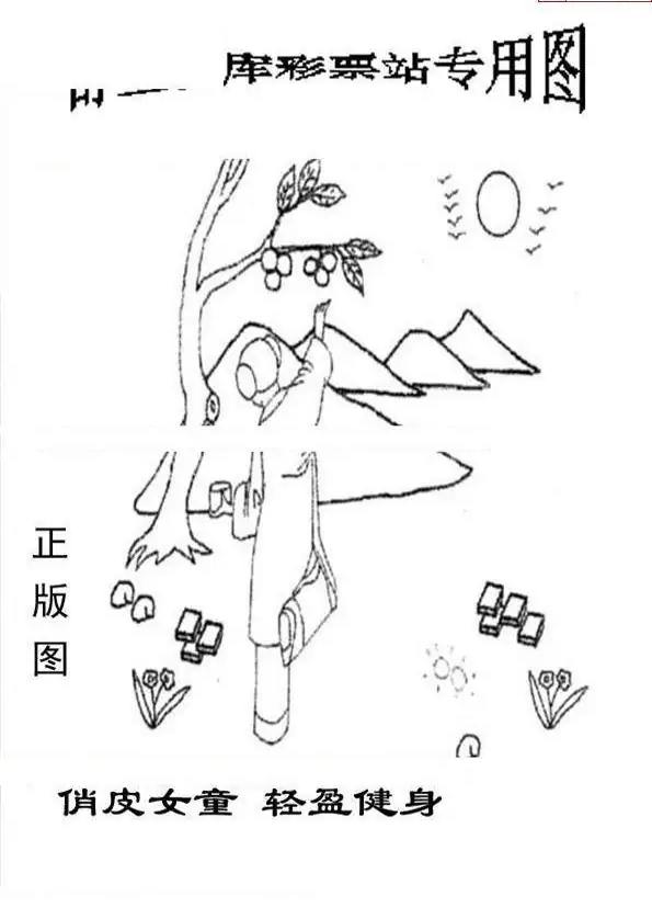 25092期: 老村长福彩3D天天图谜