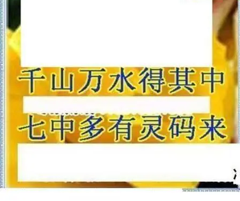 26064期: 三毛3D精品图谜