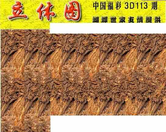 24113期: 3D蝴蝶世家蝴蝶彩图