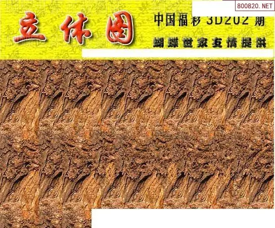 25202期: 3D蝴蝶世家蝴蝶彩图