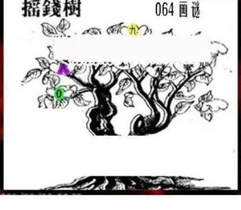 26064期: 三毛3D精品图谜