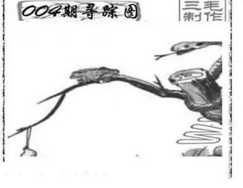 26004期: 三毛3D精品图谜