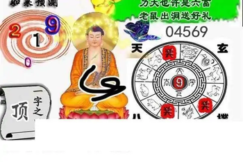 25333期: 白老3D杀码图版