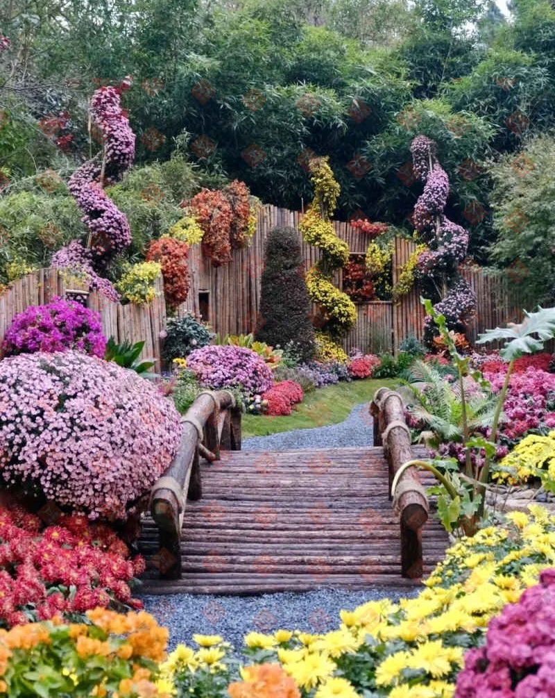 [˫ɫ��] 24133�ڣ���С�ý���ɹƱ��ɹƱ��786 / ����:��С�� / ����ID:962866