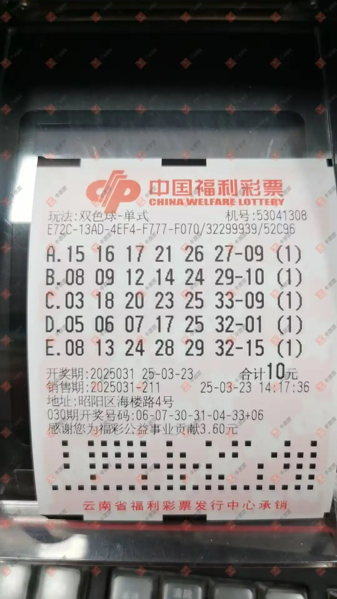 [˫ɫ] 25031ڣ̦ʽ856 / :̦ / ID:1025132