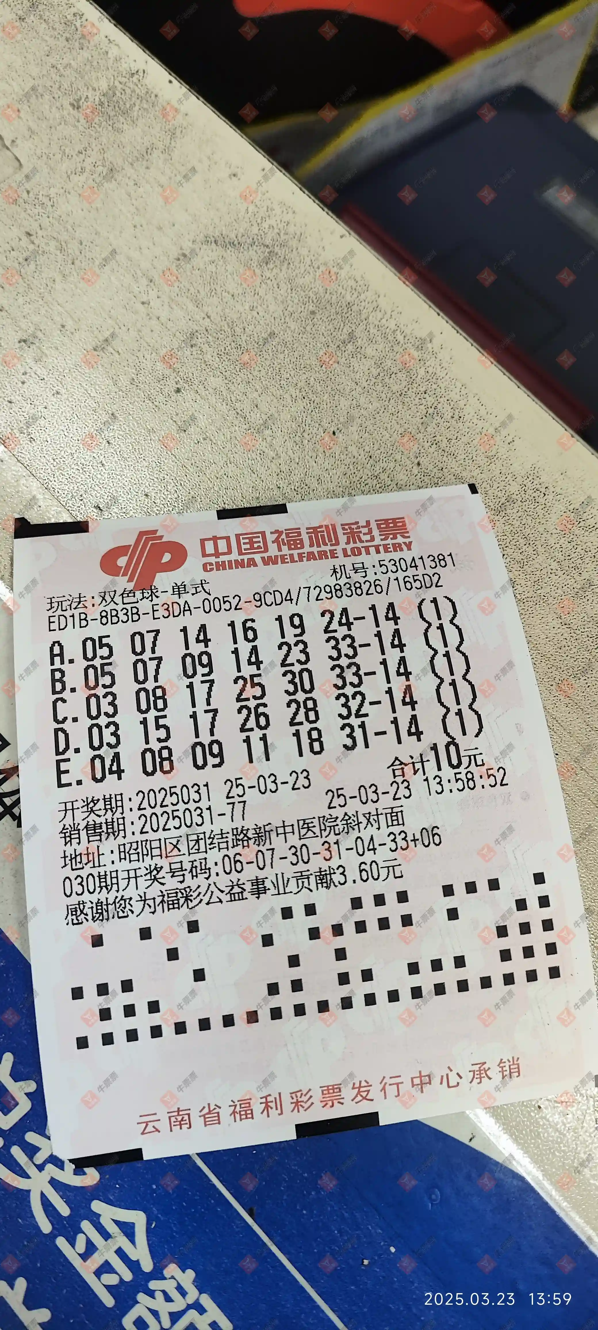 [˫ɫ] 25031ڣ̦ʽ347 / :̦ / ID:1025132